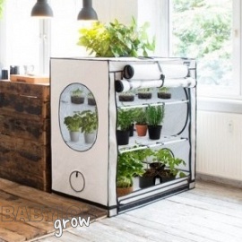 Homebox Ambient R Growtent